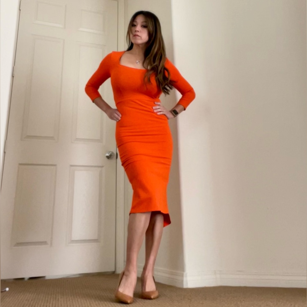 Baukjen Bodycon Dress Size 4